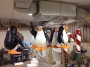 Πιγκουινοι απο φελιζολ
